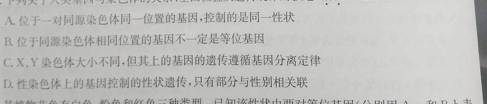 2024届国考卷15高考仿真考试(四)生物试题答案